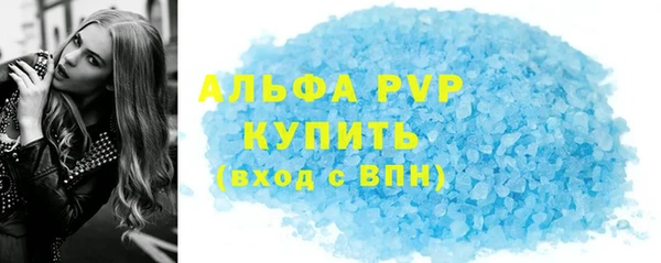 прущие грибы Балабаново