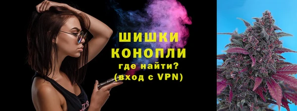 прущие грибы Балабаново