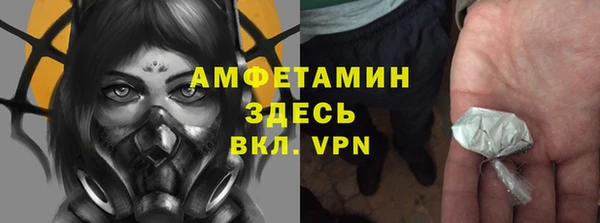 прущие грибы Балабаново