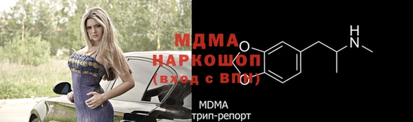 прущие грибы Балабаново