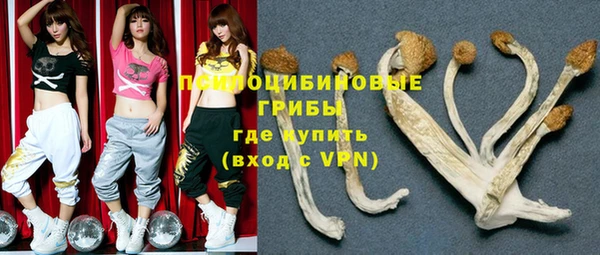прущие грибы Балабаново