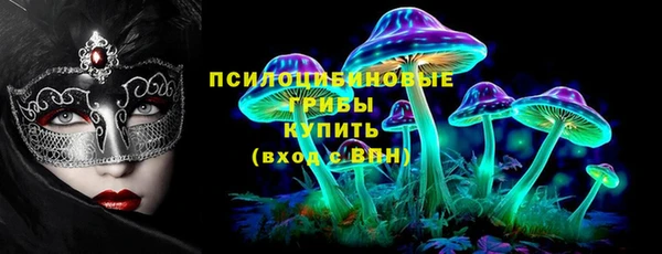 прущие грибы Балабаново