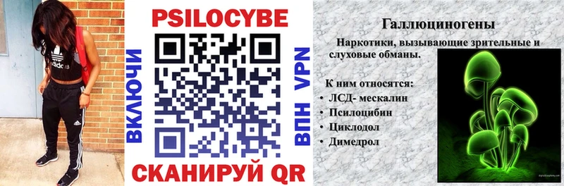 Псилоцибиновые грибы Psilocybine cubensis  Реутов 