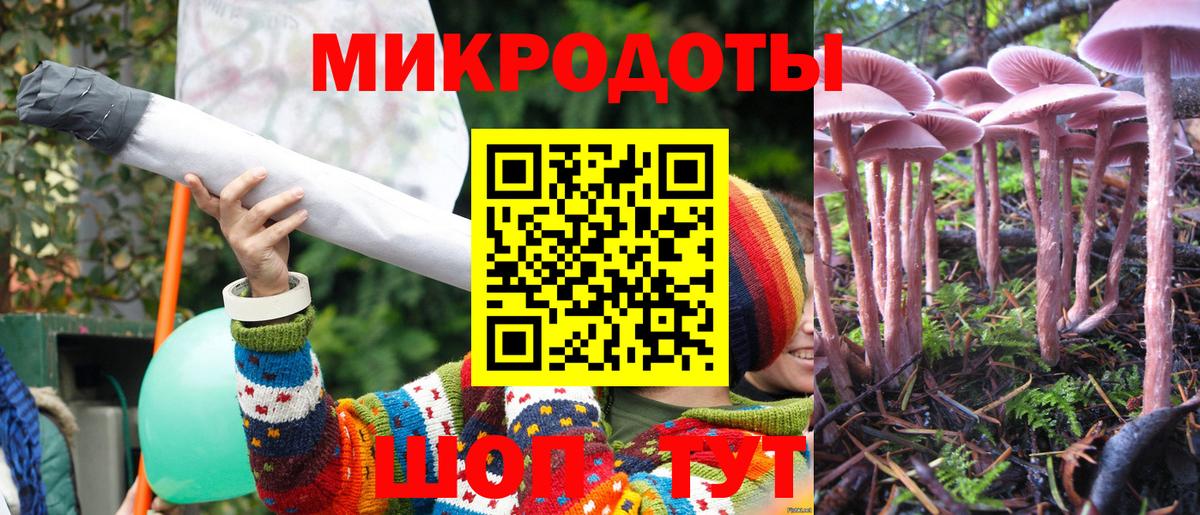 Галлюциногенные грибы ЛСД Реутов