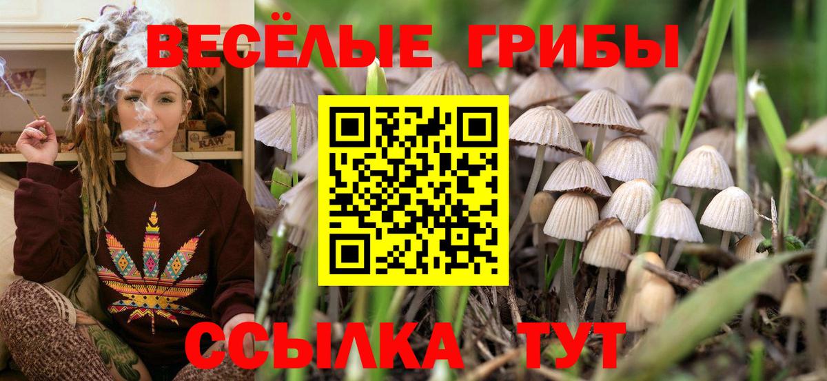 Псилоцибиновые грибы MAGIC MUSHROOMS  цена   Реутов  Вход с VPN  Галлюциногенные грибы ЛСД 
