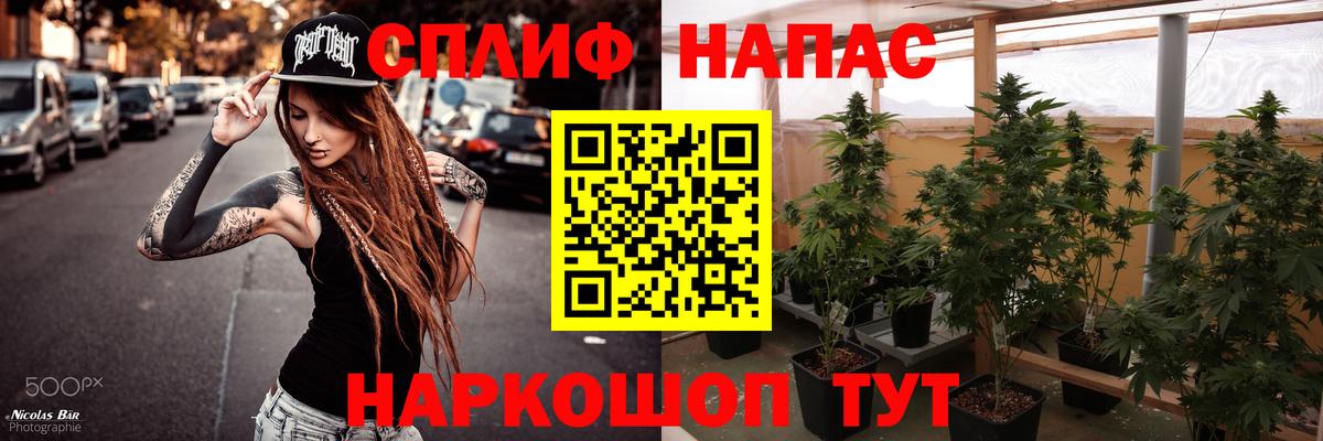 Бошки марихуана гибрид  Конопля конопля  Вход с VPN  Реутов  Бошки марихуана THC 21% 
